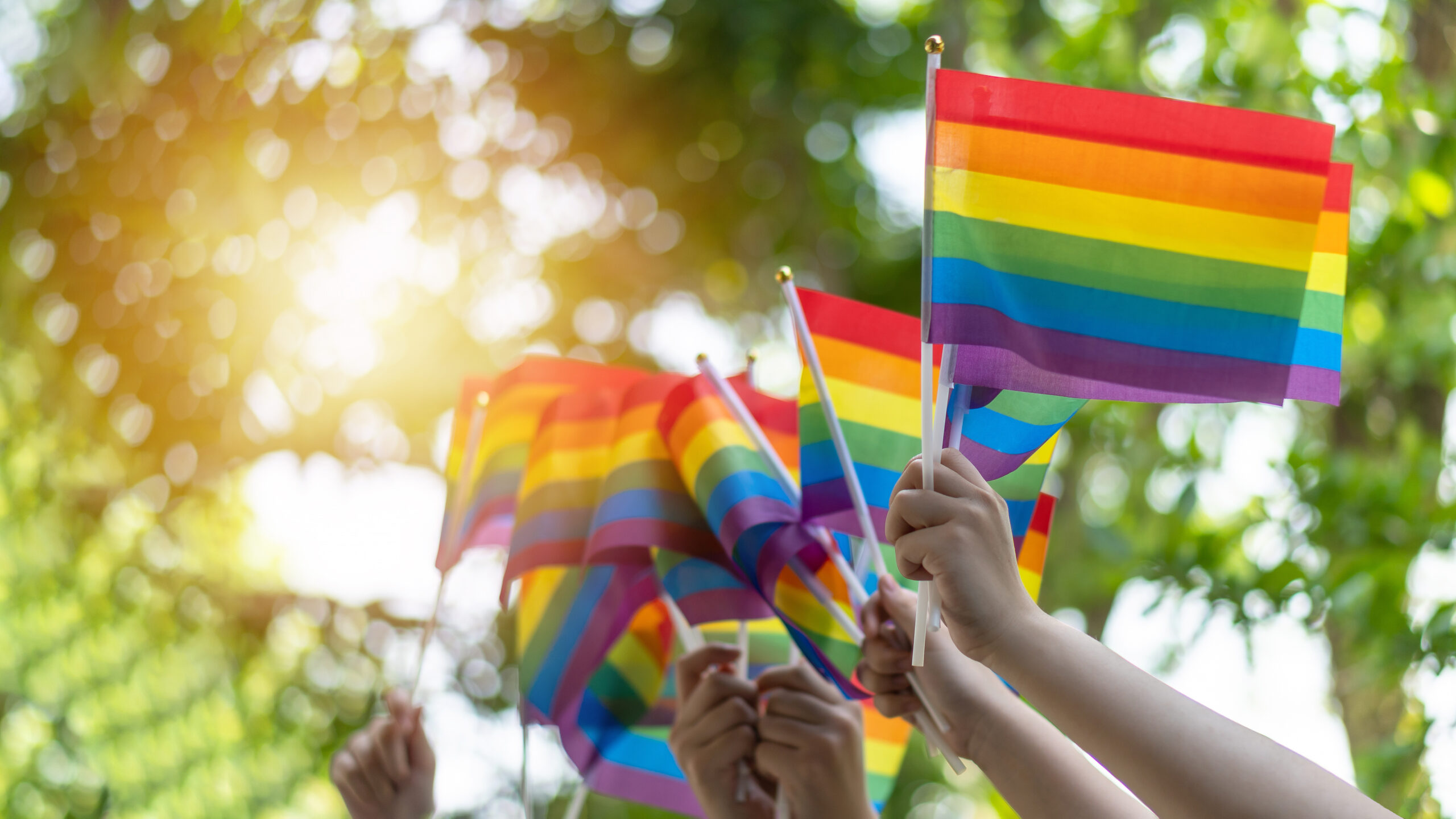 LGBTQ+ pride flag waving in the wind, symbolizing hope and strength on the path to recovery.